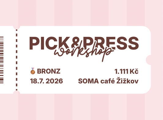 Bronzová vstupenka
