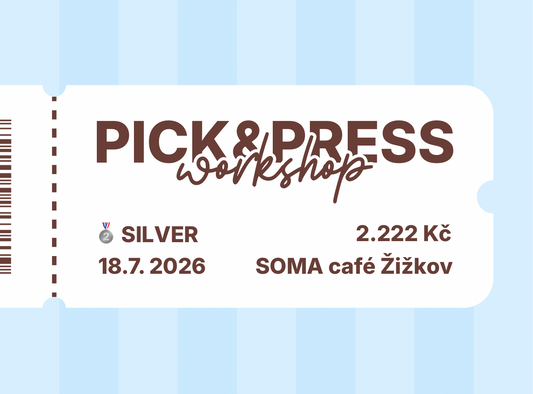 Stříbrná vstupenka